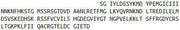 Recombinant Caspase 3 (CASP3), RPU40668