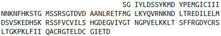 Recombinant Caspase 3 (CASP3), RPU40668