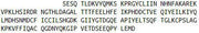 Recombinant Caspase 8 (CASP8), RPU40682