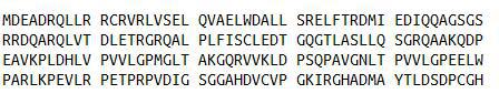 Recombinant Caspase 9 (CASP9), RPU40688