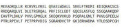 Recombinant Caspase 9 (CASP9), RPU40689