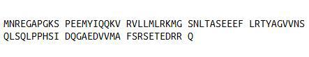 Recombinant Catenin Beta Interacting Protein 1 (CTNNbIP1), RPU40706