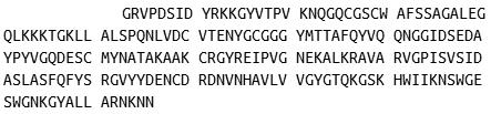 Recombinant Cathepsin K (CTSK), RPU40727