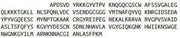 Recombinant Cathepsin K (CTSK), RPU40730
