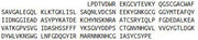 Recombinant Cathepsin S (CTSS), RPU40737