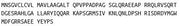 Recombinant Cholecystokinin (CCK), RPU40778