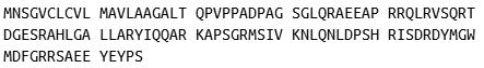 Recombinant Cholecystokinin (CCK), RPU40778