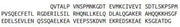 Recombinant Chromogranin A (CHGA), RPU40795