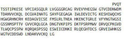 Recombinant Cluster Of Differentiation (CD163), RPU40808