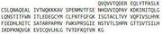 Recombinant Cluster Of Differentiation 200 (CD200), RPU40816
