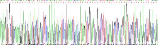 Recombinant Human Cluster Of Differentiation 4 (CD4)