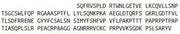 Recombinant Cluster Of Differentiation 8a (CD8a), RPU40839