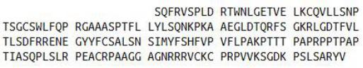 Recombinant Cluster Of Differentiation 8a (CD8a), RPU40839