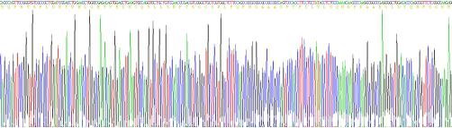 Recombinant Human Cluster Of Differentiation 8a (CD8a)