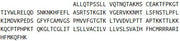 Recombinant Cluster Of Differentiation 8b (CD8b), RPU40841