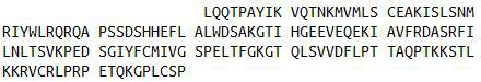 Recombinant Cluster Of Differentiation 8b (CD8b), RPU40842