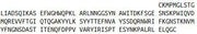 Recombinant Coagulation Factor V (F5), RPU40864