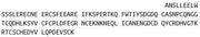 Recombinant Coagulation Factor VII (F7), RPU40872