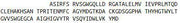 Recombinant Coagulation Factor VII (F7), RPU40873