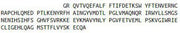 Recombinant Coagulation Factor VIII (F8), RPU40879