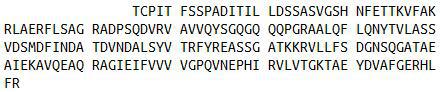 Recombinant Collagen Type VI Alpha 1 (COL6a1), RPU40902