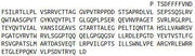 Recombinant Collagen Type VII (COL7), RPU40906