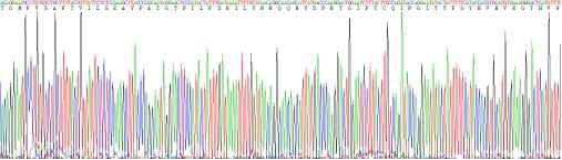 Recombinant Human Collagen Type X (COL10)