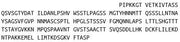 Recombinant Collagen Type XVII (COL17), RPU40916