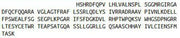 Recombinant Collagen Type XVIII (COL18), RPU40919