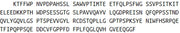Recombinant Colony Stimulating Factor Receptor, Granulocyte (GCSFR), RPU40931