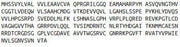 Recombinant Complement Factor D (CFD), RPU40967