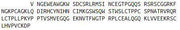 Recombinant Complement Factor P (CFP), RPU40973