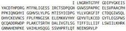 Recombinant Complement Receptor 1, Erythrocyte (CR1), RPU40975