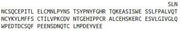 Recombinant Corin (CRN), RPU41004