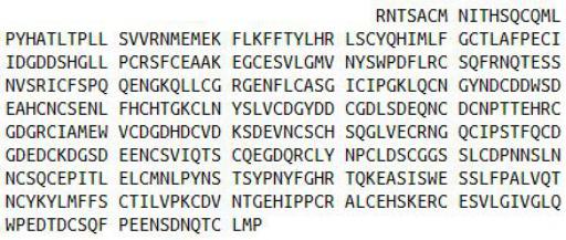 Recombinant Corin (CRN), RPU41005