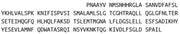 Recombinant Corticosteroid Binding Globulin (CBG), RPU41009