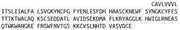 Recombinant C-Type Lectin Domain Family 2, Member C (CLEC2C), RPU41044