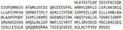Recombinant Cyclin D1 (CCND1), RPU41066