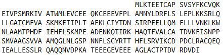 Recombinant Cyclin D1 (CCND1), RPU41066