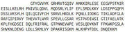 Recombinant Cyclin Dependent Kinase 1 (CDK1), RPU41073