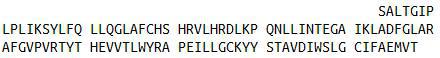 Recombinant Cyclin Dependent Kinase 2 (CDK2), RPU41078