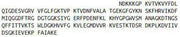 Recombinant Cyclophilin B (CYPB), RPU41096