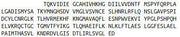 Recombinant Cystathionine (CTH), RPU41101
