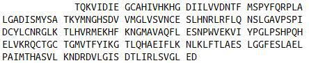 Recombinant Cystathionine (CTH), RPU41101