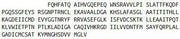Recombinant Cystathionine (CTH), RPU41102