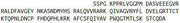 Recombinant Cystatin C (Cys-C), RPU41105