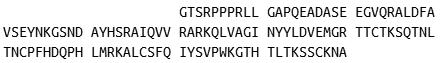 Recombinant Cystatin C (Cys-C), RPU41106