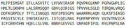 Recombinant Cytochrome P450 1A1 (CYP1A1), RPU41120