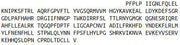 Recombinant Cytochrome P450 2E1 (CYP2E1), RPU41132