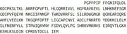Recombinant Cytochrome P450 2E1 (CYP2E1), RPU41133